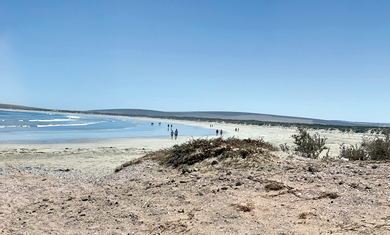 Eichler.Stiftung.Karlsruhe.Afrika.Spenden.Paternoster2